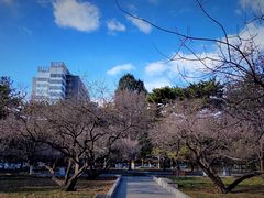 -中央民族大学