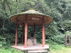 景点-峨眉山报国寺