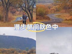 -御道口草原森林风景区