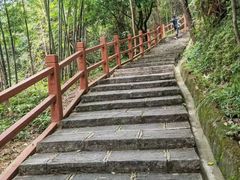 -广州白江湖森林公园