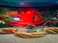 -青岛嘉年华主题乐园