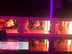 v-show主题ktv(新城店)-V-SHOW主题KTV(新城店)