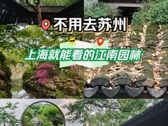 -上海醉白池公园