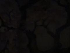 -懂生足疗SPA·康怡(天河北店)