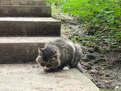 -北京西山国家森林公园