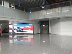 -广东惠东海龟国家级自然保护区