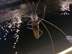 -DGE季风钓虾营地·团建·聚会