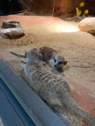 -酷嗒动物文化乐园(cutezoo西溪乐天城店)