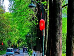 -西溪国家湿地公园