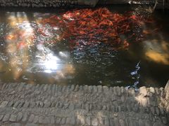 -寺平古村