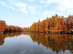 -尚湖风景区