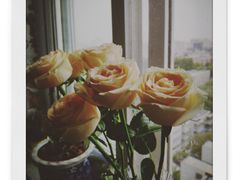 -胡桃里音乐酒馆(四道口店)