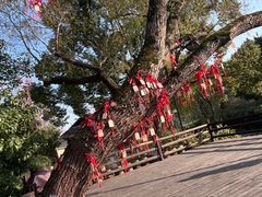 -乌镇西栅景区-月老庙