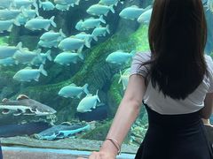-哈尔滨波塞冬海底世界