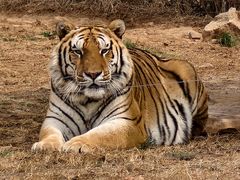 -济南野生动物世界