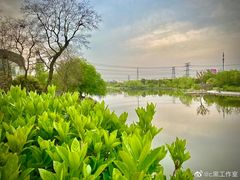 -九里河湿地公园