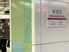 -宋家庄(地铁站)