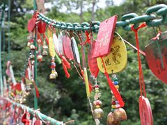 -西双版纳原始森林公园