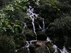 -牛背梁国家森林公园