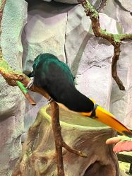 -Zoolung Zoolung动物主题公园(海信广场店)