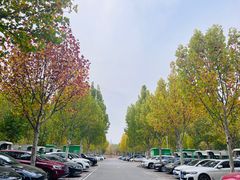 -北坞公园