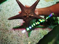 -亚龙湾海底世界