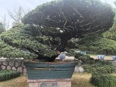 -水绘园