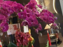 -左庭右院鲜牛肉火锅黑金店(陆家嘴中心店)