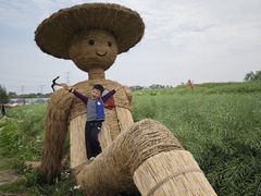 -乌村