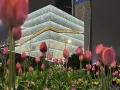 -杭州奥体中心-体育场