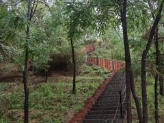 -森林公园(尖草坪区)