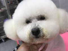 -宠福鑫康馨动物医院·骨科·眼科