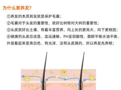 -中国农业大学(西校区)