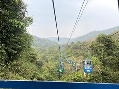 -野象谷景区
