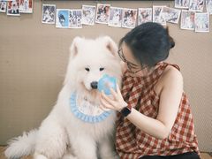 -星多哈·狗咖·拼豆·咖啡