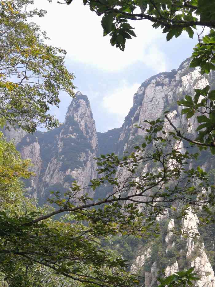 连天峰-"武侠小说里的武术门派少不了少林武术,少林."-大众点评移动版