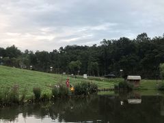 -大塘金香草谷