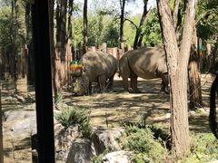 -北京野生动物园