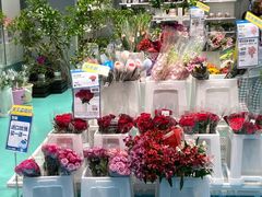 -盒马X会员店(上海森兰商都店)