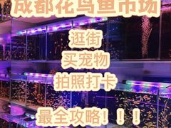 -青石桥花鸟鱼虫市场(叠翠城店)