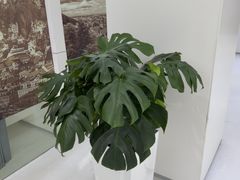 -极简口腔(总院)