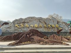 -北京西山国家森林公园