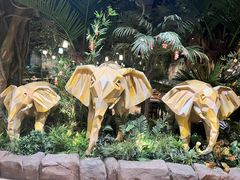 -杭州开元森泊度假乐园