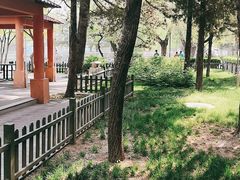 -黄村公园