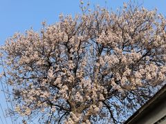 -东方之珠洗浴休闲广场(南开店)