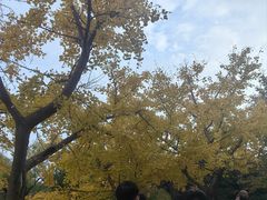 -黄兴公园