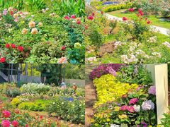 -人民公园(罗湖区)