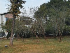 -石湖景区