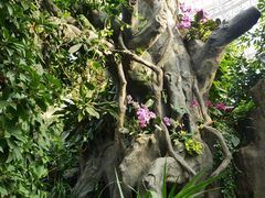 -郑州植物园