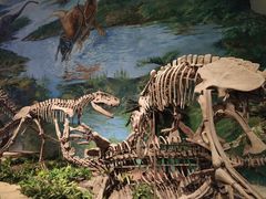 -自贡恐龙博物馆
